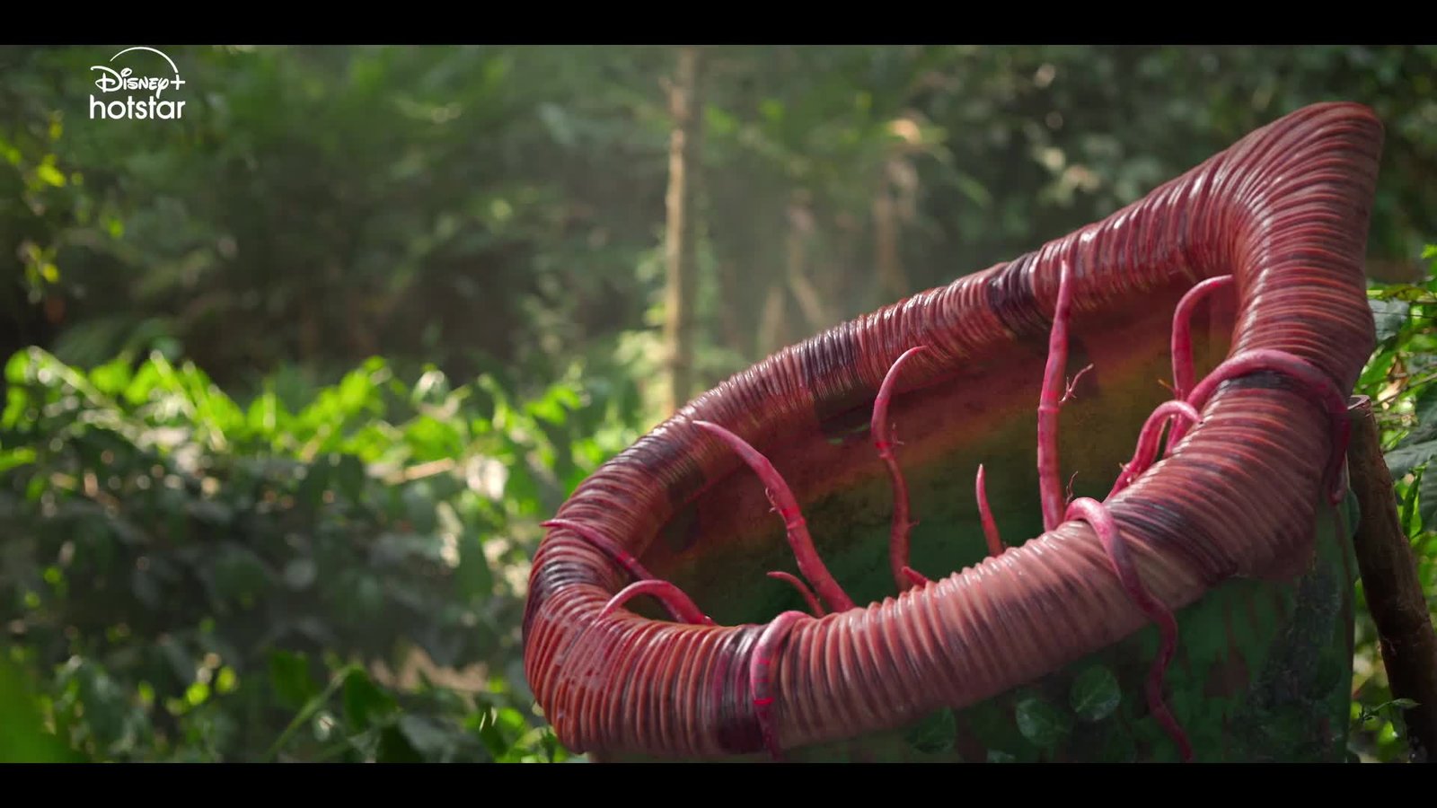 The mystery of moksha island ending explained with dramatic conclusion filmyvision
